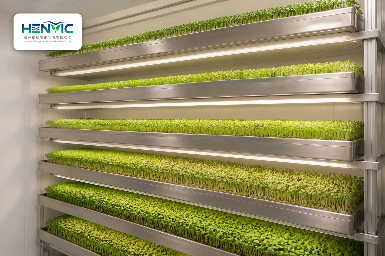 Mushroom Cultivation Chamber Technology Overview